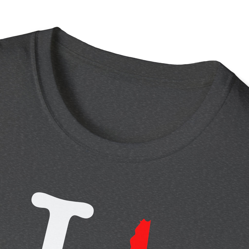 I love New Hampshire