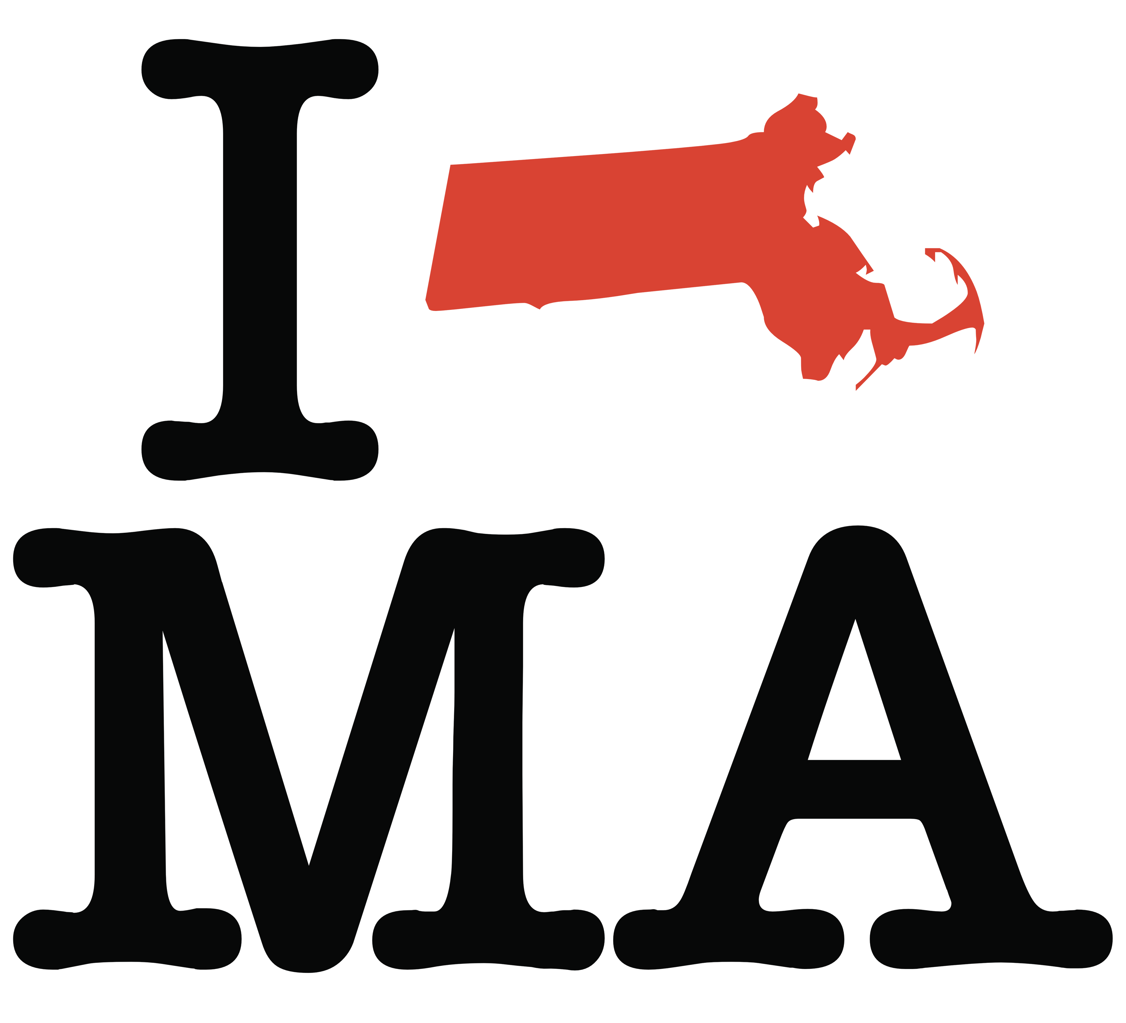 I love Massachussetts (pattern)