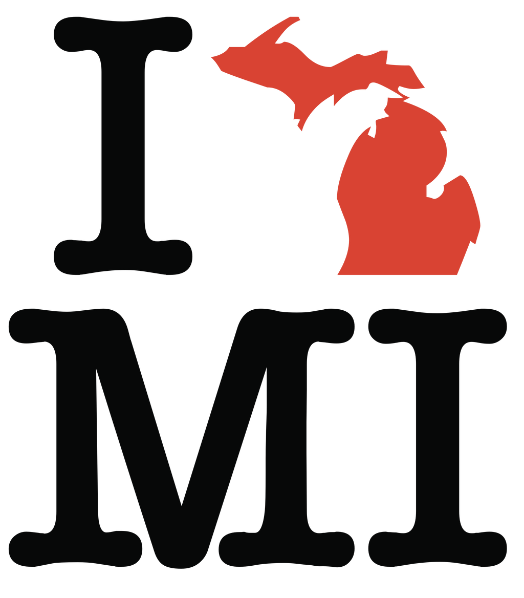 I love Michigan (pattern)